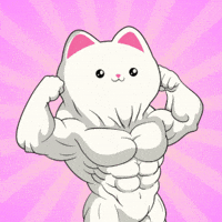Happy Gym GIF by Silly Kitties