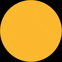 zucarga usa houston venezuela dallas GIF