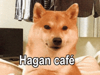 Coffee Cafe GIF by Terabusi