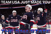 Team Usa Hockey GIF