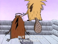 nickrewind nicksplat angry beavers GIF