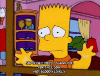 homer simpson episode 6 GIF
