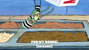 season 9 episode 6 GIF by SpongeBob SquarePants