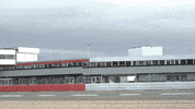 Formula 1 Mexico GIF by Red Bull Racing
