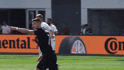 soccer mls GIF by D.C. United