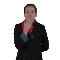 Cabin Crew Plane Sticker by Iberojet