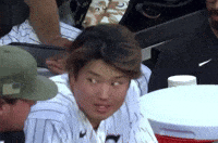Major League Baseball Mlb GIF