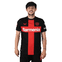 Bayer 04 Football Sticker by Bayer 04 Leverkusen