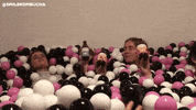 smilekombucha smile ball drinks belgium GIF