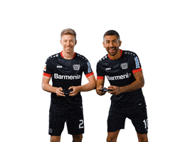 Winning Bayer 04 GIF by Bayer 04 Leverkusen