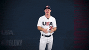 Pro GIF by USA Baseball