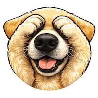 Fun Love Sticker by abana a cauda