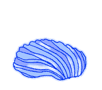 Pearl Shell Sticker by panika.xyz