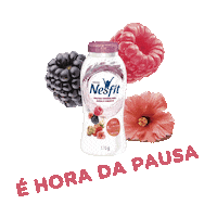 Yogurt Flavor Sticker by NestleNesfit
