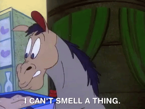 ren and stimpy nicksplat GIF