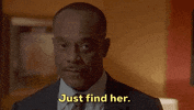 Gibbs Vance GIF by CBS