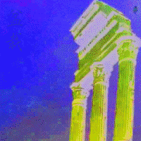 Bonsai GIF