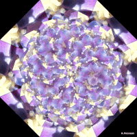 art geometry GIF by Michel Poisson