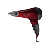 blow dry beauty Sticker by Kenra Professional