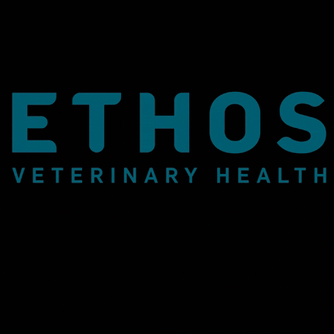 ethosvethealth giphygifmaker ethos vet health ethos veterinary health vet tech life GIF