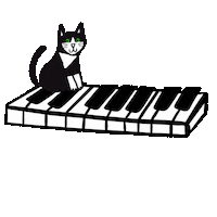 Cat Kitty Sticker