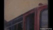 indonesia halo GIF