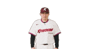Kbo Sticker by Kiwoom Heroes Baseball Club