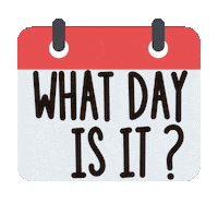 Confused Day Sticker