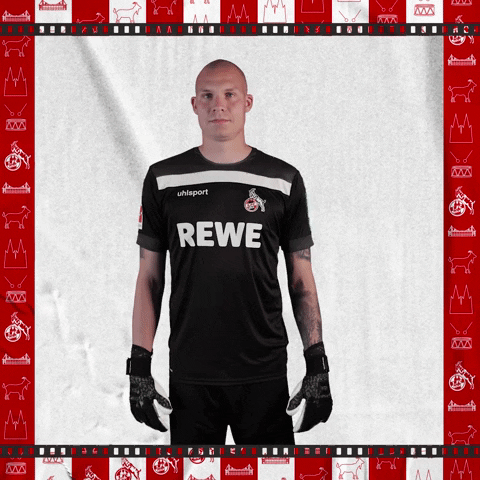 1 Fc Cologne Football GIF by 1. FC Köln