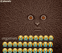 Son Folk GIF