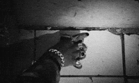 Grey Scale GIF by DUCKWRTH