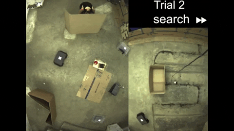 tulsimo giphygifmaker GIF