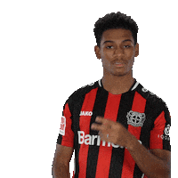 Eye Watching Sticker by Bayer 04 Leverkusen