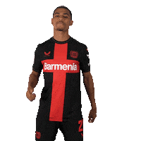 Bayer 04 Love Sticker by Bayer 04 Leverkusen