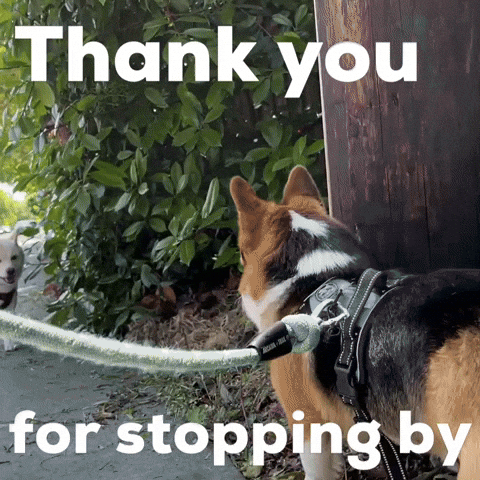 Dog Thank You GIF