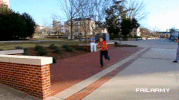 shit bull GIF