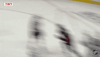 Happy Ottawa Senators GIF by NHL