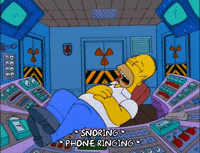 Season 9 Episode 24 GIF by The Simpsons