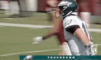 philadelphia eagles football GIF by NFL