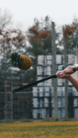 Beer Fruit GIF by Flying Dog Brewery