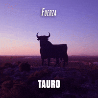 Fuerza Tauro