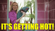 GIF by Miss Cosmopola