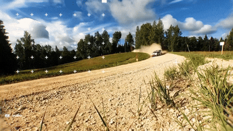 Sorry See You GIF by FIA World Rally Championship