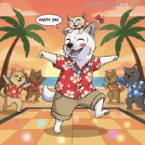 Happy Lets Go GIF by Doge Pound