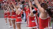 ohio state buckeyes ncaa GIF by Ohio State Athletics