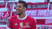 Sorry Sl Benfica GIF by Sport Lisboa e Benfica