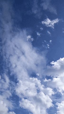 Simongip giphyupload GIF