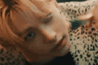 5 Star Artist GIF
