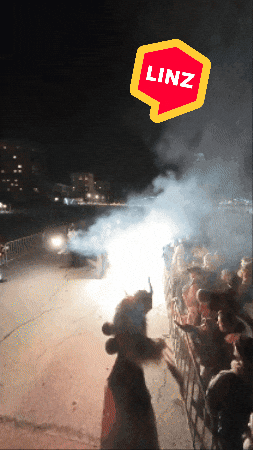 Fire Running GIF by Linz News