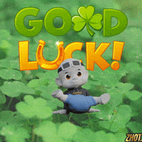 Boa Sorte Good Luck GIF by Zhot